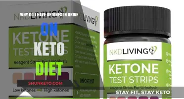 Ketones in Urine on Keto: Causes and Concerns Explained