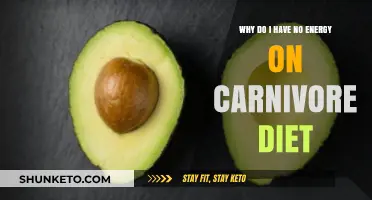 Carnivore Diet: Energy Loss Mystery Solved