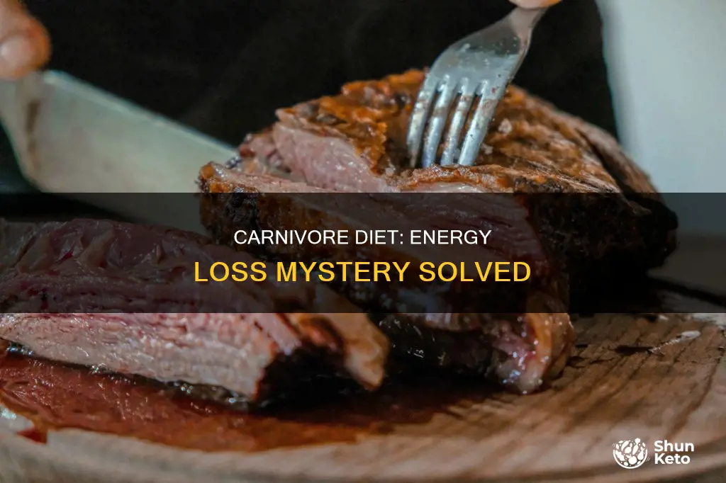 why do i have no energy on carnivore diet