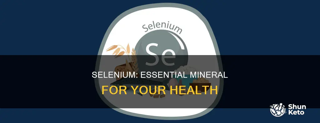 why do i need selenium in my diet