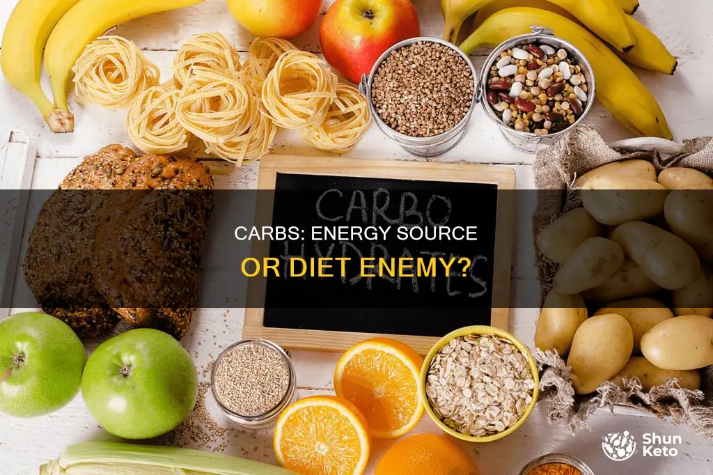 why do i need so many carbs in my diet
