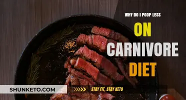 Carnivore Diet: Less Poop, More Energy