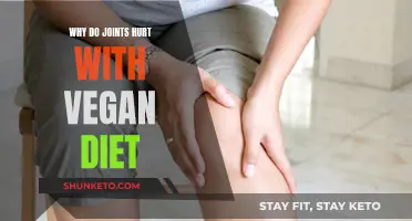 Vegan Diets: Joint Pain and Possible Solutions