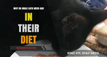 Ash in Cat Food: Why Male Cats Need It