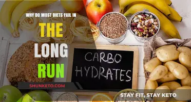 Diets: Why Most Plans Fail in the Long Run