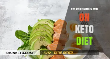 Keto Kidney Pain: Causes, Concerns, and Solutions Explained