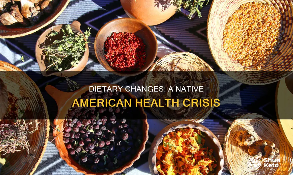 why do native americans die from change of diet