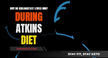 How Atkins Diet Affects Oxaloacetate Levels
