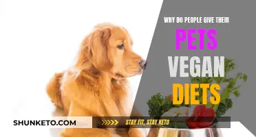 Vegan Pet Diets: Are They Healthy?