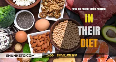 Protein Power: Why It's Essential in Your Diet