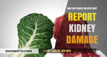 Keto and Kidney Concerns: Unraveling the Link to Potential Damage