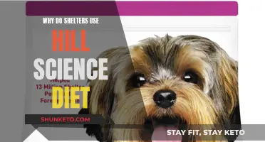 Shelters' Preferred Choice: Hill's Science Diet for Healthy Pets