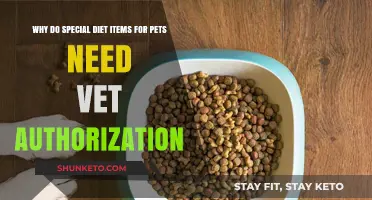 Special Pet Diets: Why Vets Must Approve