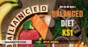Healthy Eating: Balanced Diets for Kids