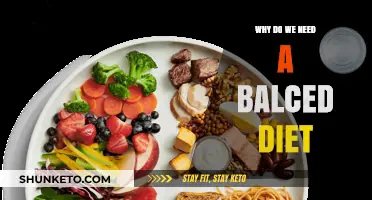 Balanced Diet: Key to a Healthy Life