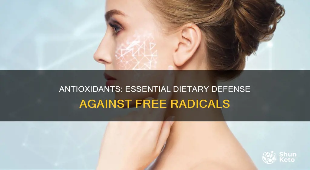 why do we need antioxidants in our diet