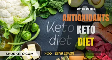 Boosting Keto Benefits: The Essential Role of Antioxidants in Your Diet
