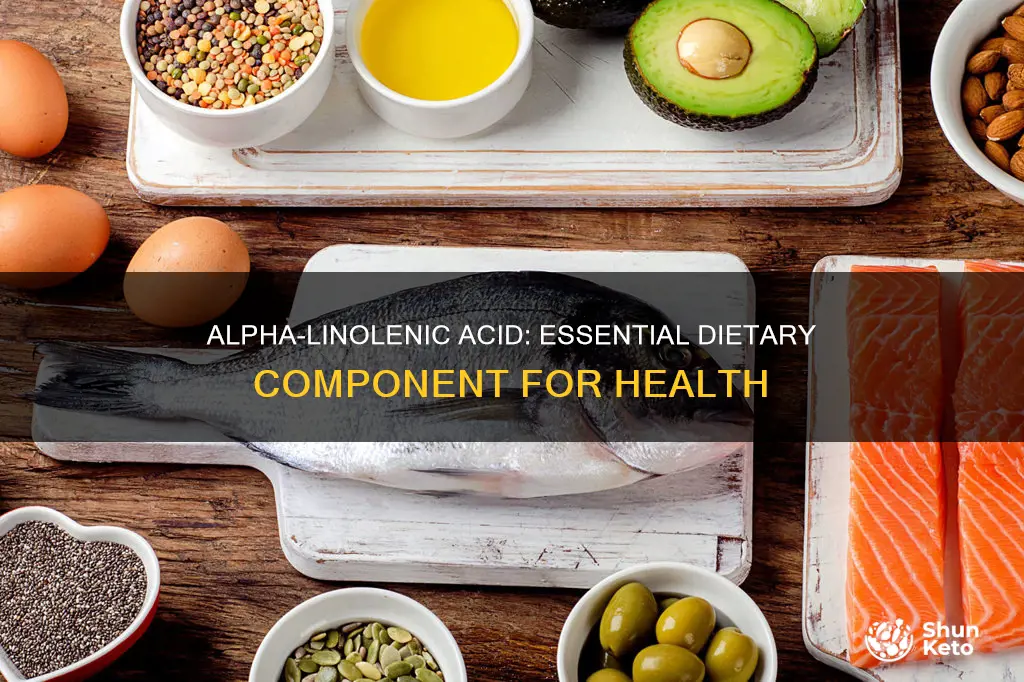 why do we need aplha linoleic acid in diet