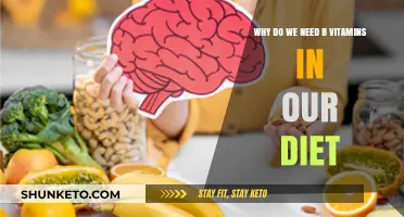 The Importance of B Vitamins in Your Diet
