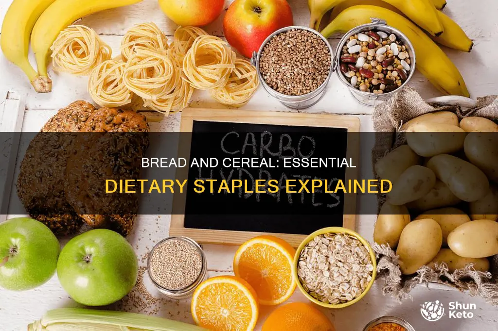 why do we need bread and cereal in our diet