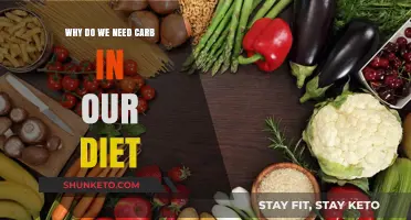 Carbs: Essential Energy Source for a Balanced Diet