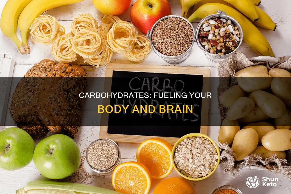 why do we need carbohydrate in our diet