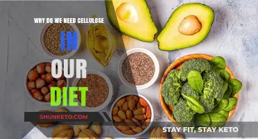 Cellulose: The Dietary Secret to a Healthy Gut