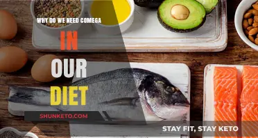 The Importance of Omega-3s in Your Diet