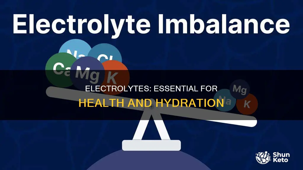 why do we need electrolytes in our diet