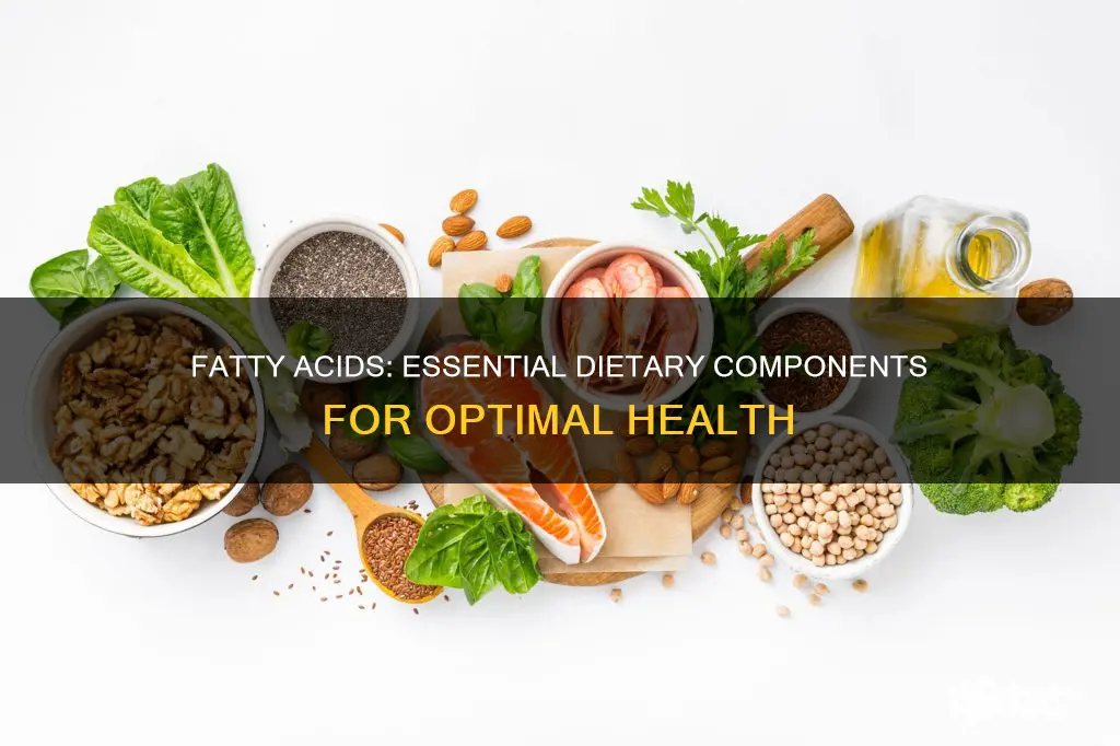 why do we need fatty acids in our diet