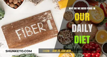 Fibre: A Daily Diet Essential for Healthy Living