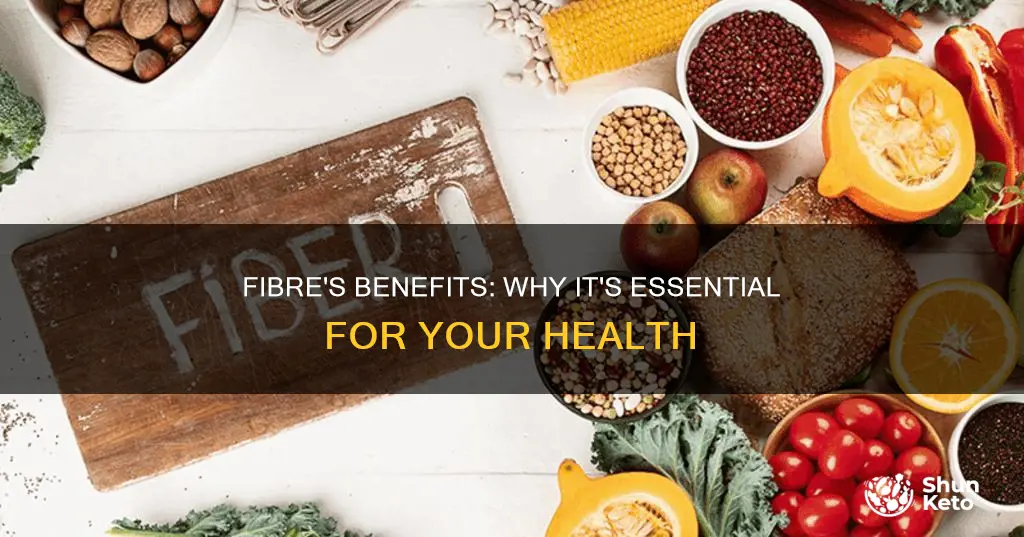 why do we need fibre in our diet gcse