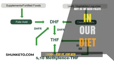 Folate: Essential for a Healthy Diet and Why?
