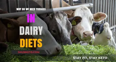 Forages in Dairy Diets: Why They're Essential