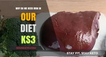 Iron's Vital Role in Our Health