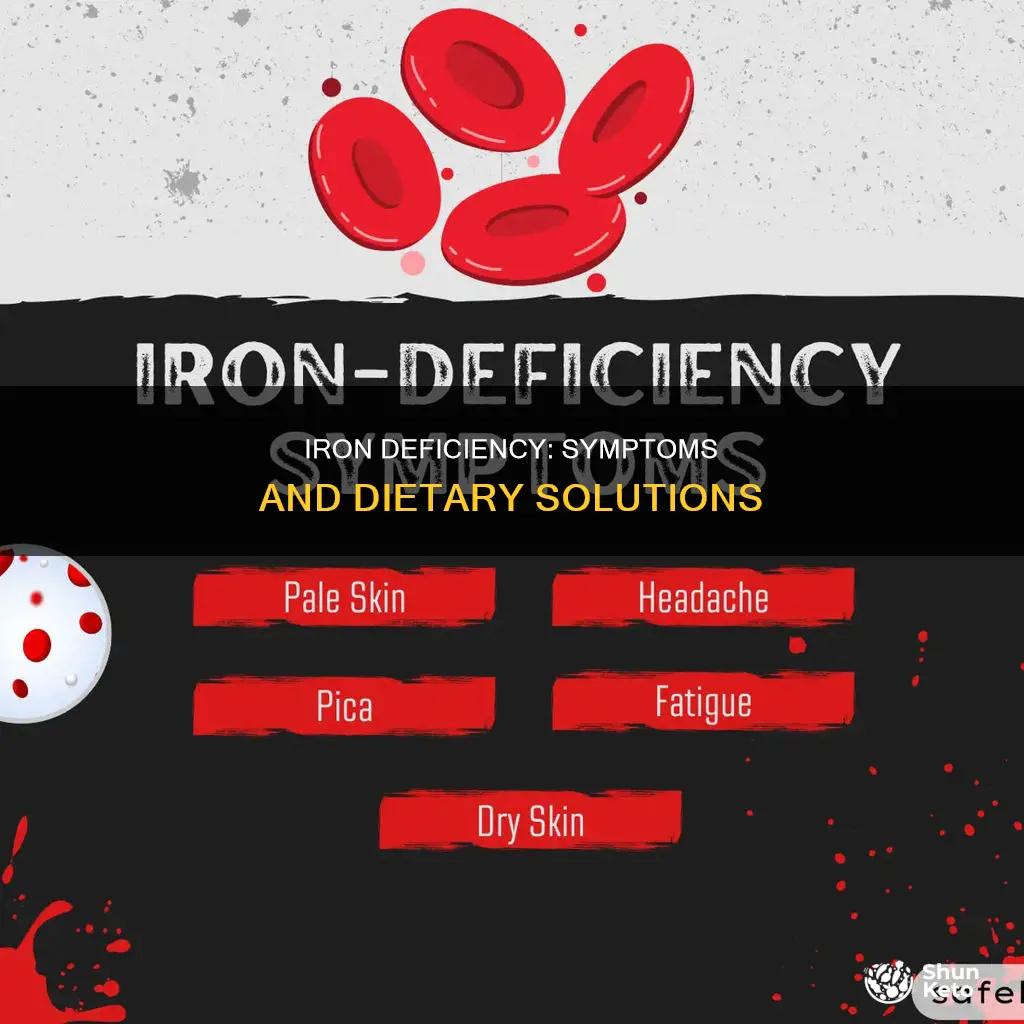 why do we need iron in our diet symptoms