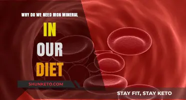 Iron: An Essential Mineral for Human Health