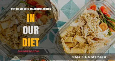 Macromolecules: Essential Dietary Components for Human Health