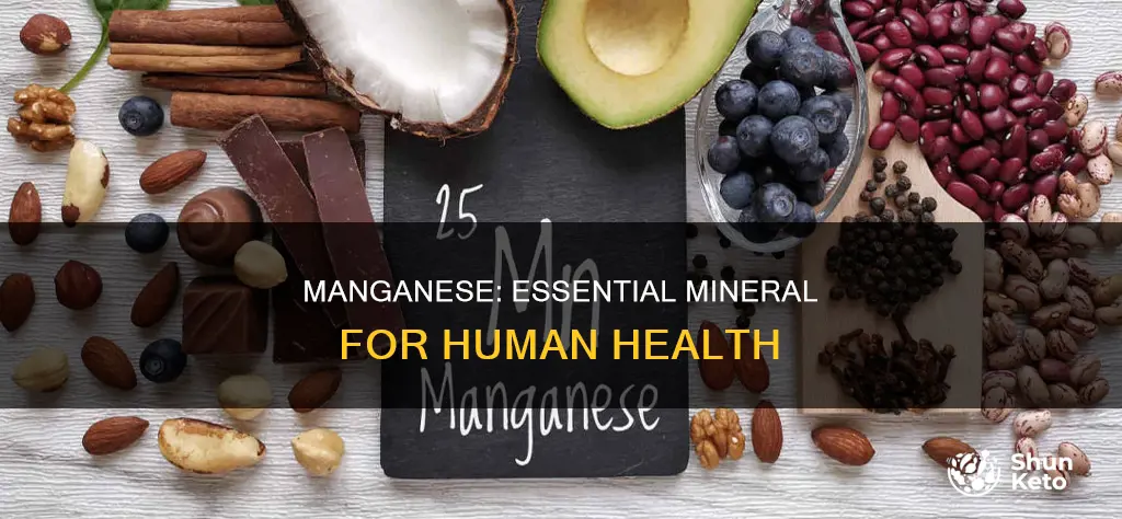 why do we need manganese in our diet
