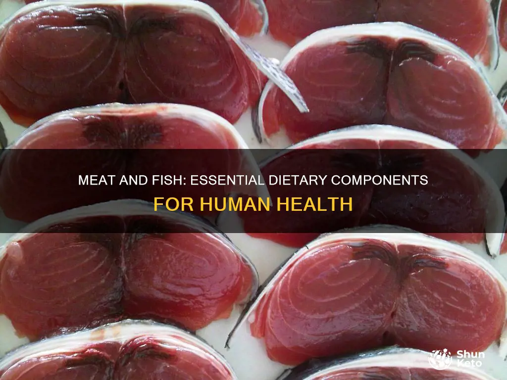 why do we need meat and fish in our diet