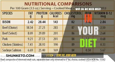 Meat in Your Diet: Essential or Exclusion?