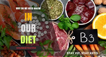 Niacin: Essential for a Healthy Body and Mind