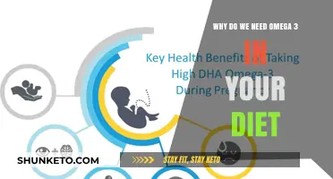Omega 3: Essential Fatty Acids for a Healthy Diet