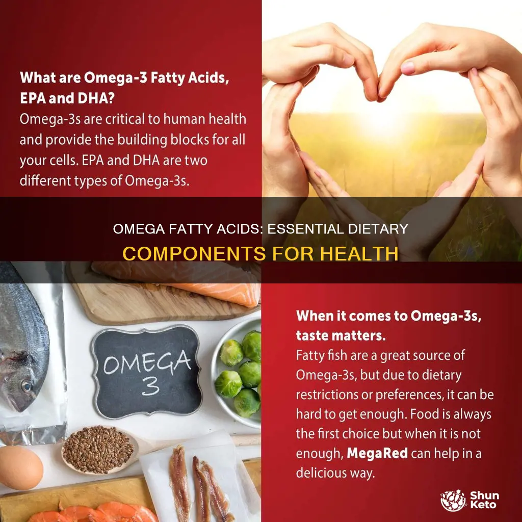why do we need omega fatty acids in our diet