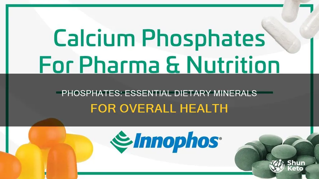 why do we need phosphates in our diet