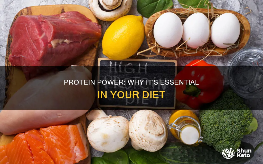 why do we need protein in your diet nhs