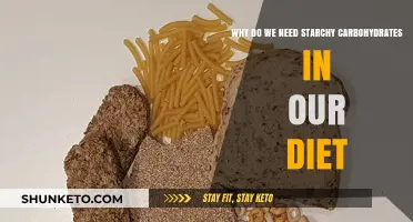 Starchy Carbs: Fueling Your Body, Energizing Your Mind