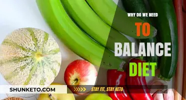 Balancing Diet: Key to a Healthy Life
