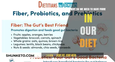 Fiber: A Healthy Diet's Essential Component