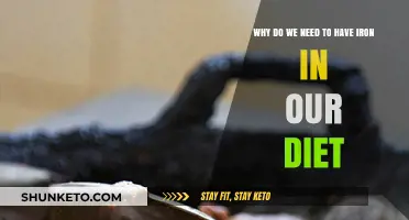 Iron-Rich Diet: Essential for Energy and Health